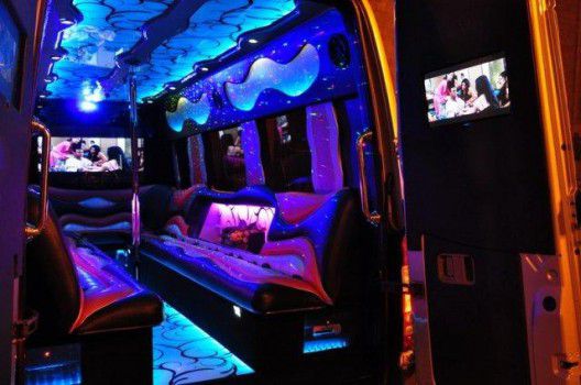 partybus-warsaw-12pax