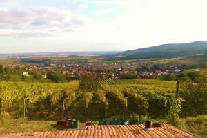 winery_tour_c